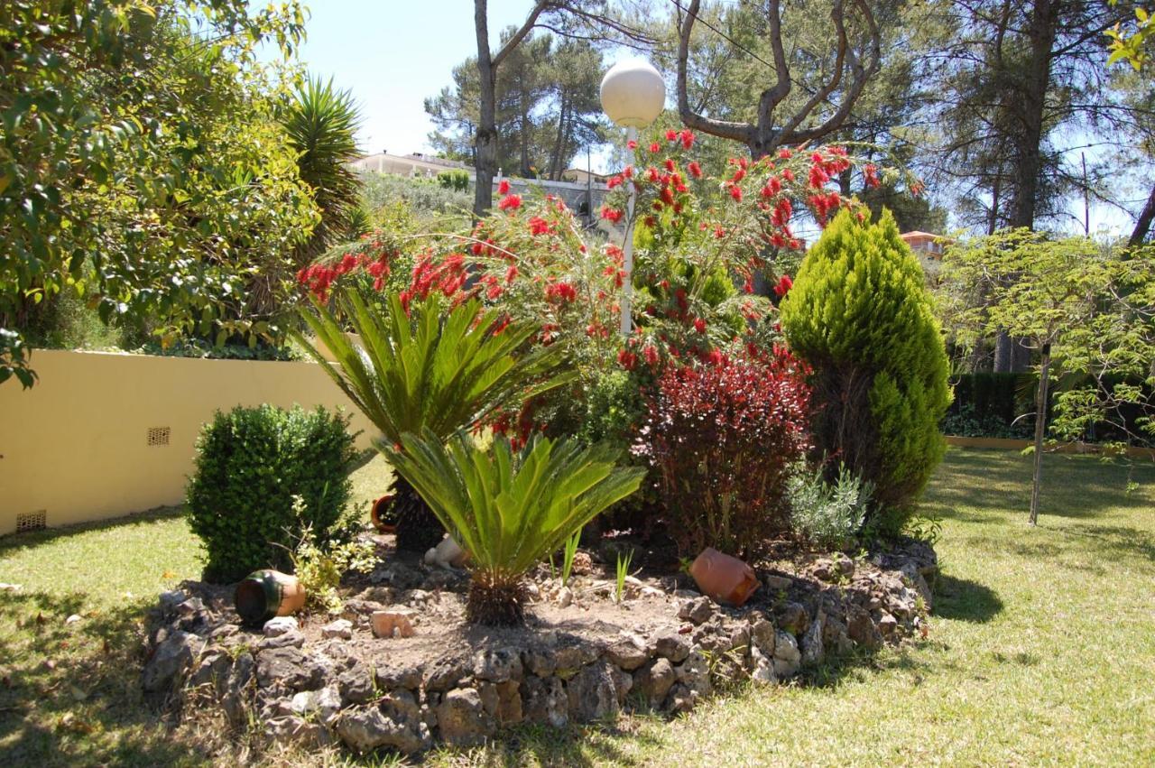 Wonderful Villa, Heated Pool, Near Beautiful Town Alboy Buitenkant foto