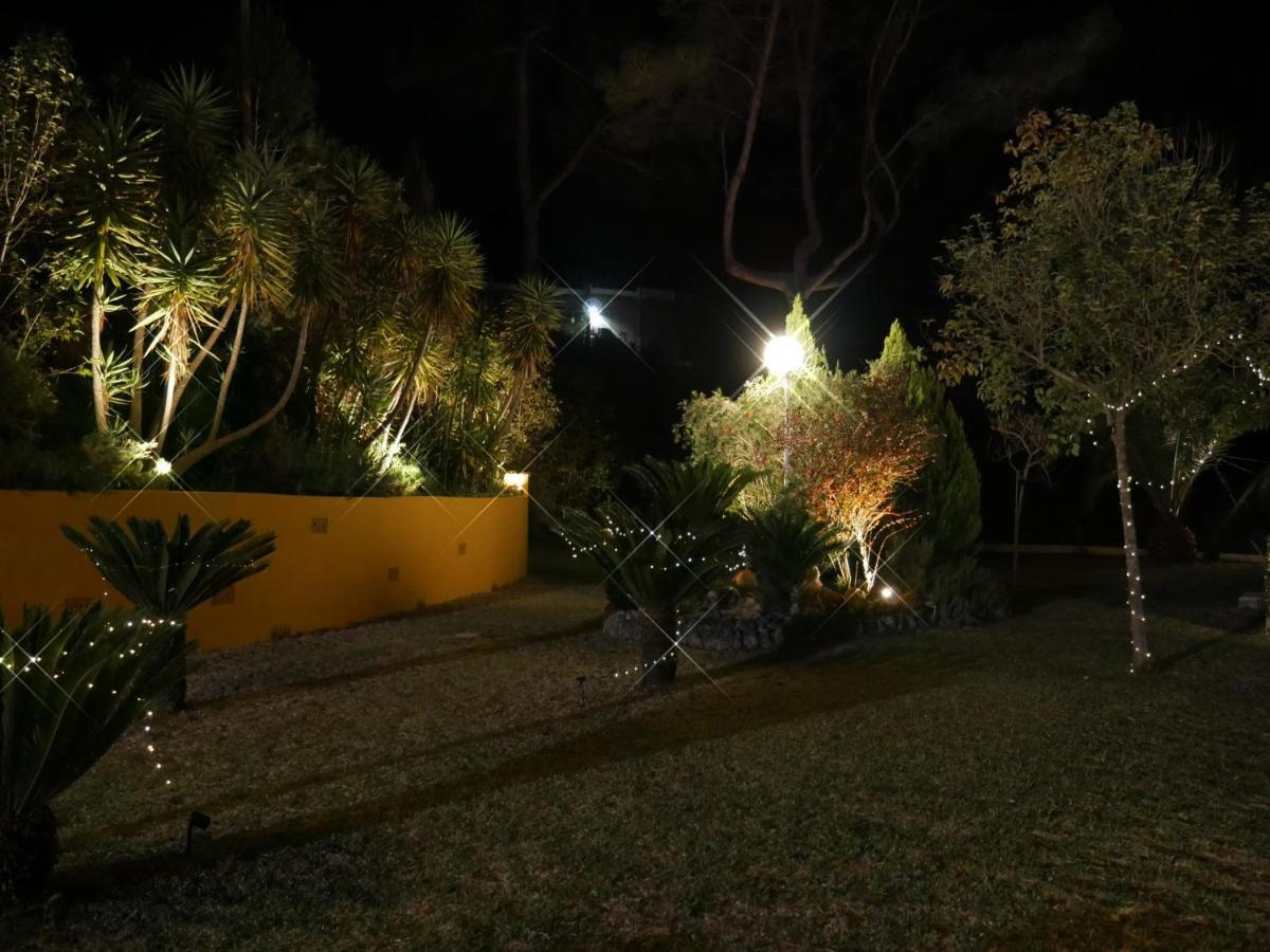 Wonderful Villa, Heated Pool, Near Beautiful Town Alboy Buitenkant foto